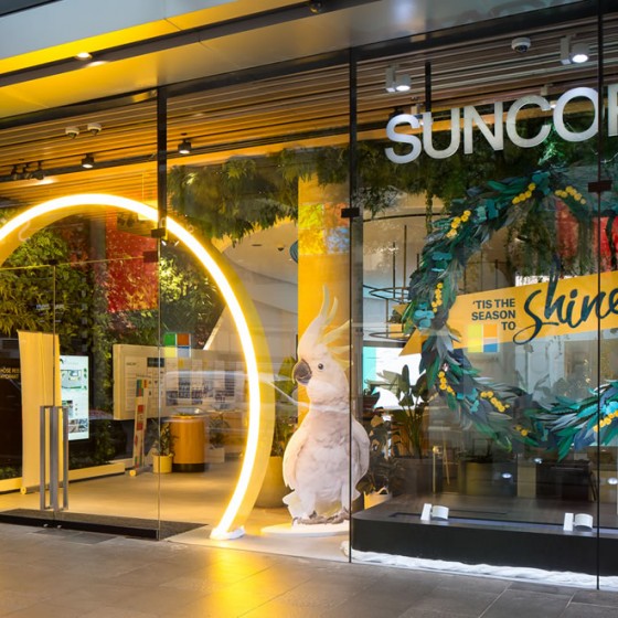 Suncorp Discovery Store